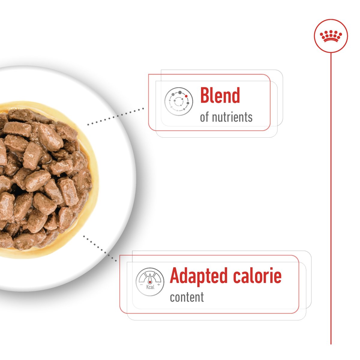 Size Health Nutrition Mini Ageing Gravy (Wet Food - Pouches) 12 x 85 g