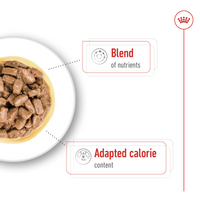Size Health Nutrition Mini Ageing Gravy (Wet Food - Pouches) 12 x 85 g