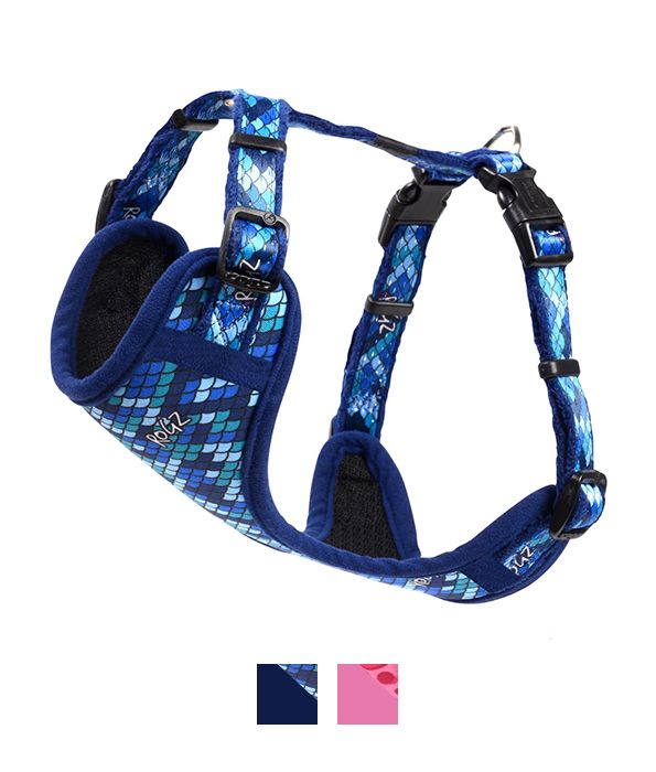 Rogz Fashion Dog Harness - BLUE Medium