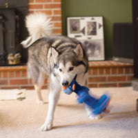 Thumbnail for Kong Shakers Dragon Plush Squeaker Dog Toy - L/XL