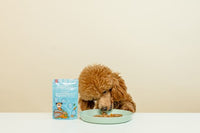 Thumbnail for Little BigPaw Steamed Atlantic Salmon & Vegetables Dinner Wet Dog Food 150g - 150g