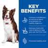 Hill’s Science Plan Perfect Digestion Medium Adult 1+ Dog Food with Chicken and Brown Rice (14kg)