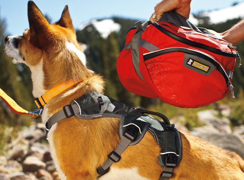 Ruffwear Palisades Multi-Day Dog Backpack  - S