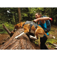 Thumbnail for Ruffwear WebMaster Dog Harness - Red Canyon Medium