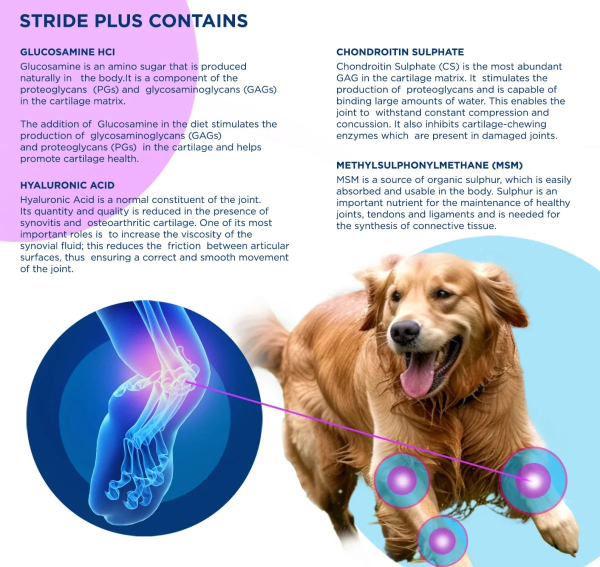 STRIDE PLUS Dogs 200ml