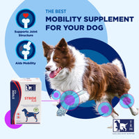 STRIDE PLUS Dogs 200ml