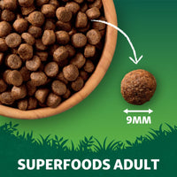 Thumbnail for Harringtons Superfoods Turkey with Vegetables Adult Dry Dog Food - 1.7kg