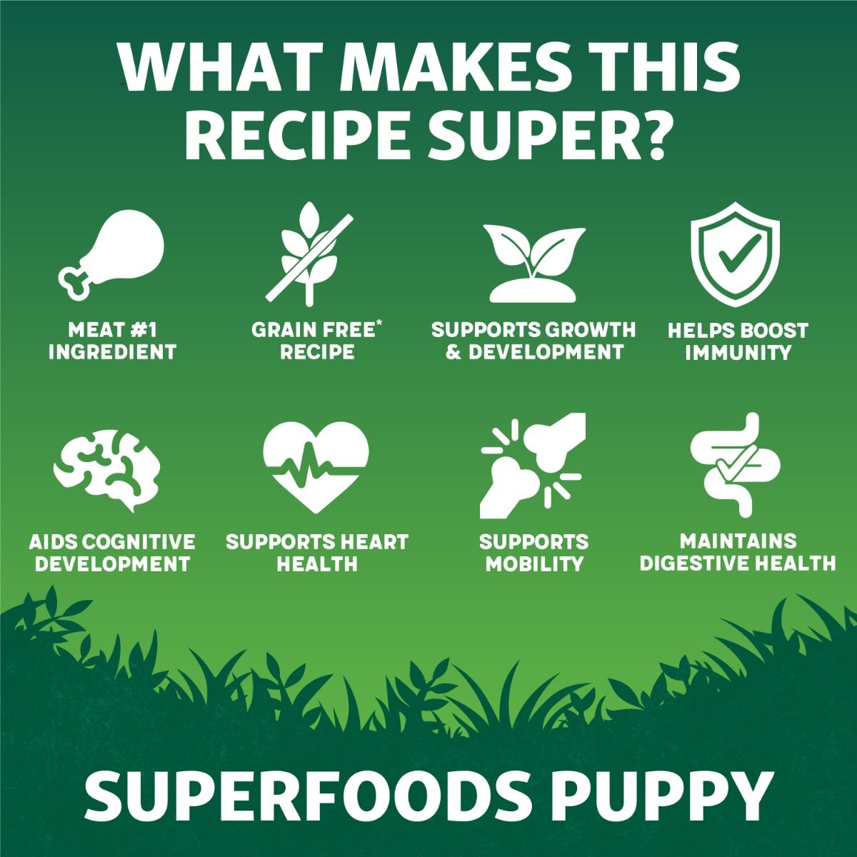 Harringtons Superfoods Chicken with Vegetables Puppy Dry Dog Food - 1.7kg