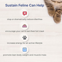 Thumbnail for Sustain HDN Feline 100 g