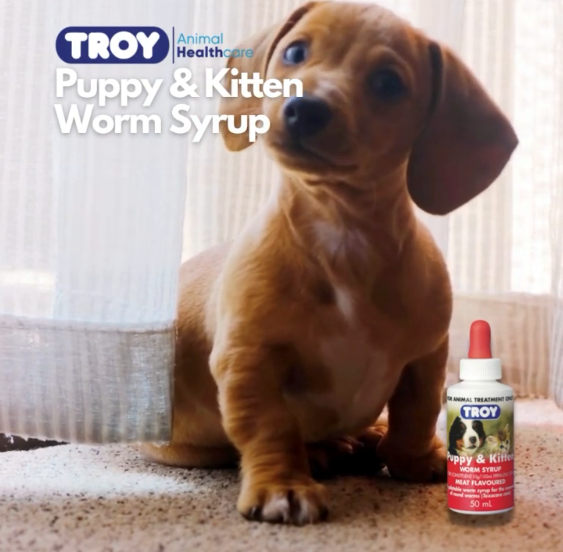 Troy Puppy and Kitten Worm Syrup 50ml