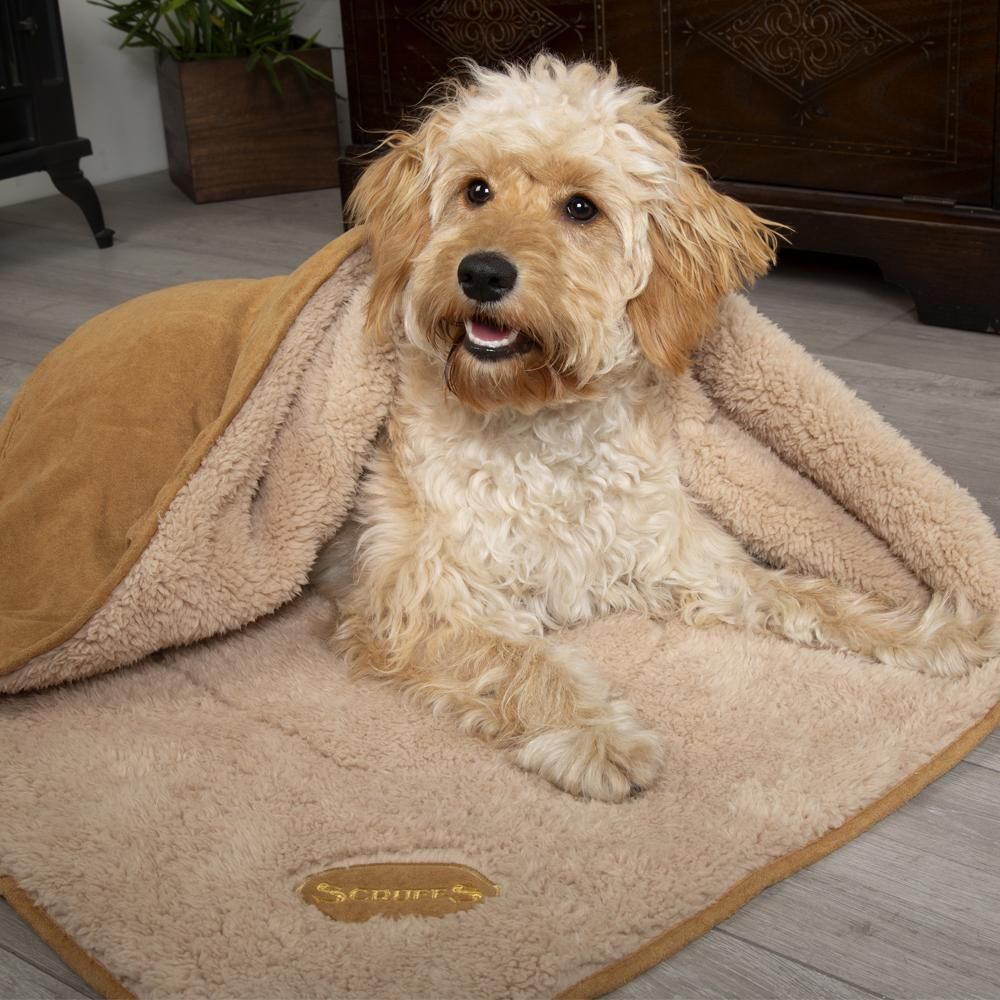 Scruffs Snuggle Dog Blanket - TAN