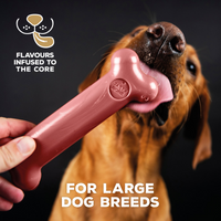 Thumbnail for TastyBone Nylon Large Dog - Bacon