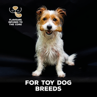Thumbnail for TastyBone Nylon Toy Dog - Lamb