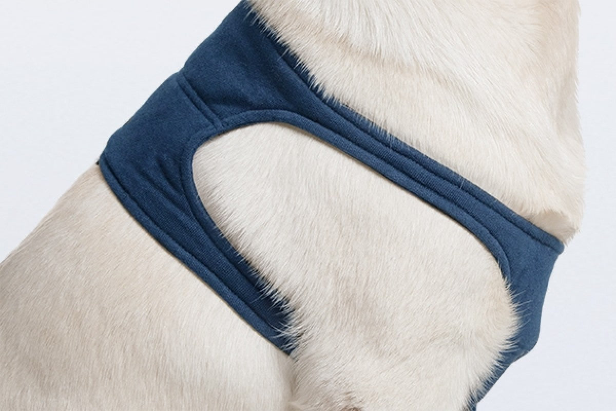 Taz Protective Leg Sleeve 3XSmall