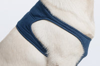Thumbnail for Taz Protective Leg Sleeve 3XSmall