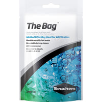 Thumbnail for The Bag