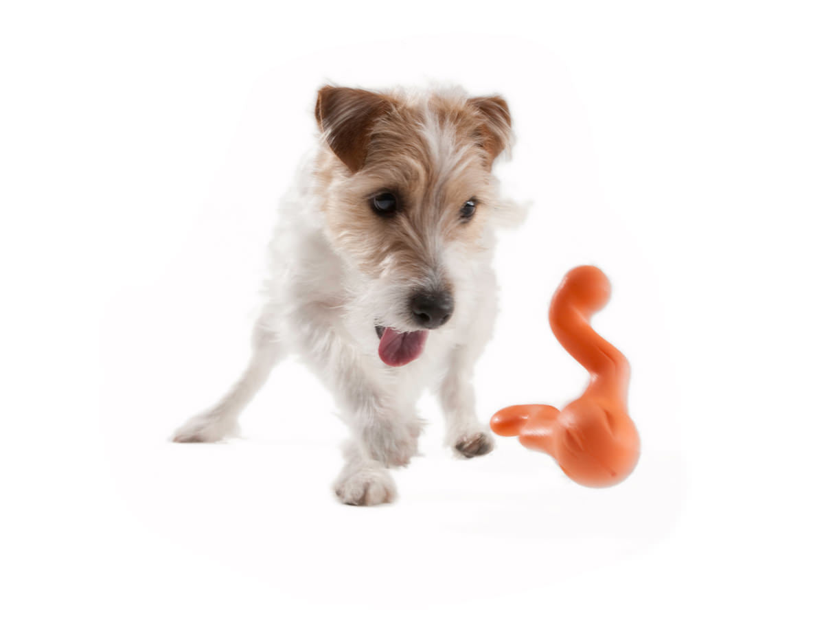 Tizzi Dog Toy - tangerine