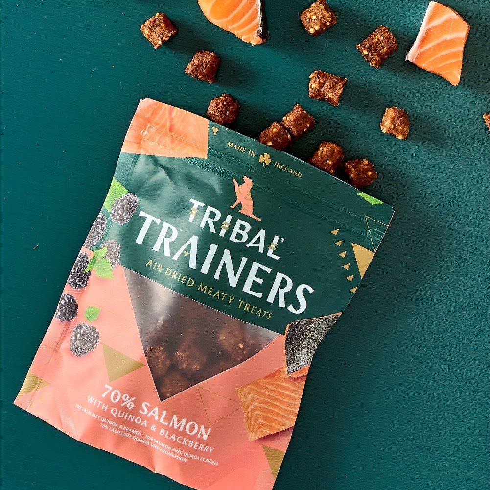 Tribal Trainers Salmon Quinoa & Blackberry Dog Treats 80g - 80g