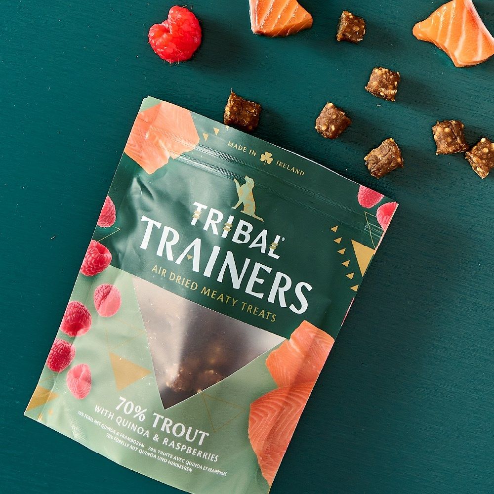 Tribal Trainers Trout Quinoa & Raspberry Dog Treats 80g - 80g