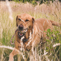 Thumbnail for Beco Pets Hemp Rope Ball on Loop Dog Toy - LARGE