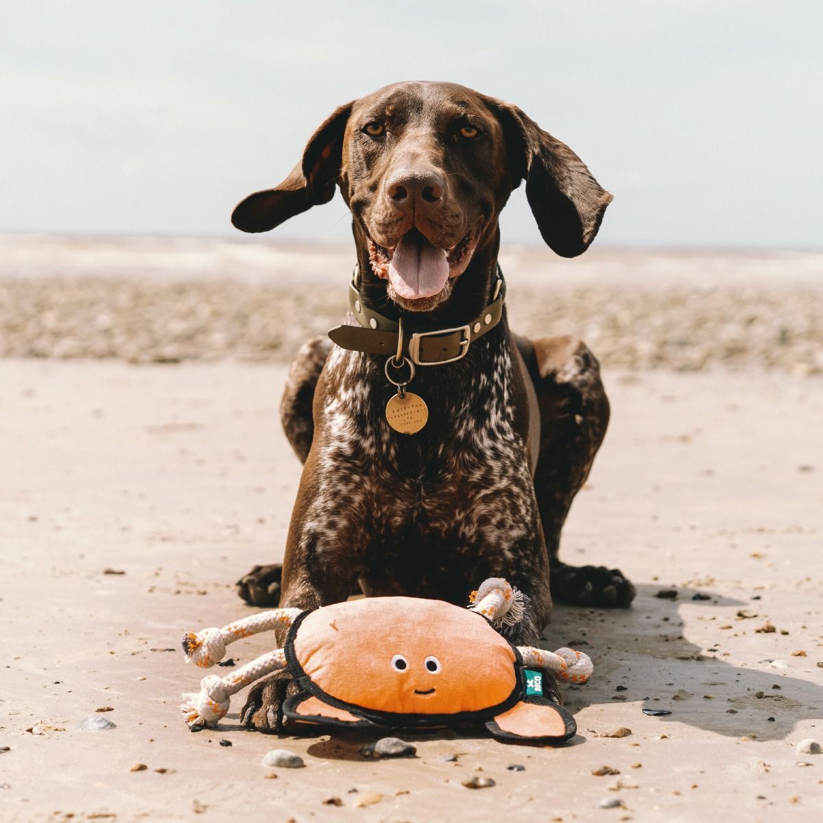 Beco Pets Rough & Tough Crab Recycled Dog Toy - ORANGE LARGE