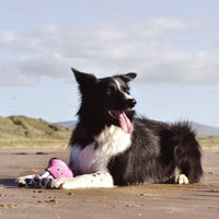 Thumbnail for Beco Pets Rough & Tough Octopus Recycled Dog Toy - PINK MEDIUM