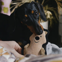 Thumbnail for Beco Pets Rough & Tough Quokka Recycled Dog Toy - Brown Small