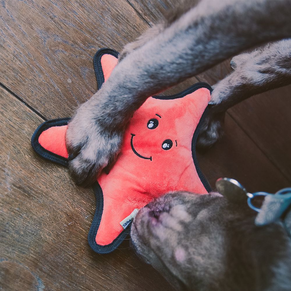 Beco Pets Rough & Tough Starfish Recycled Dog Toy - ORANGE MEDIUM