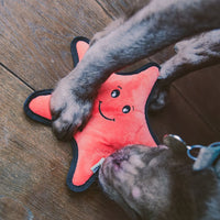 Thumbnail for Beco Pets Rough & Tough Starfish Recycled Dog Toy - ORANGE MEDIUM