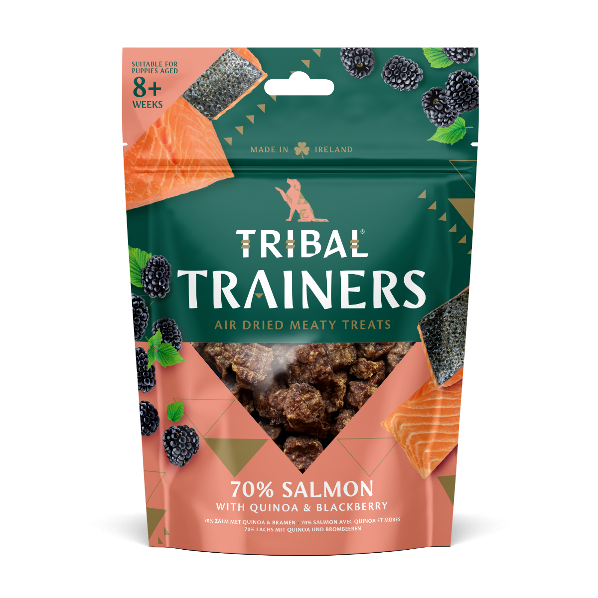 Tribal Trainers Salmon Quinoa & Blackberry Dog Treats 80g - 80g