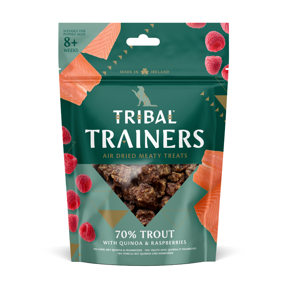 Tribal Trainers Trout Quinoa & Raspberry Dog Treats 80g - 80g