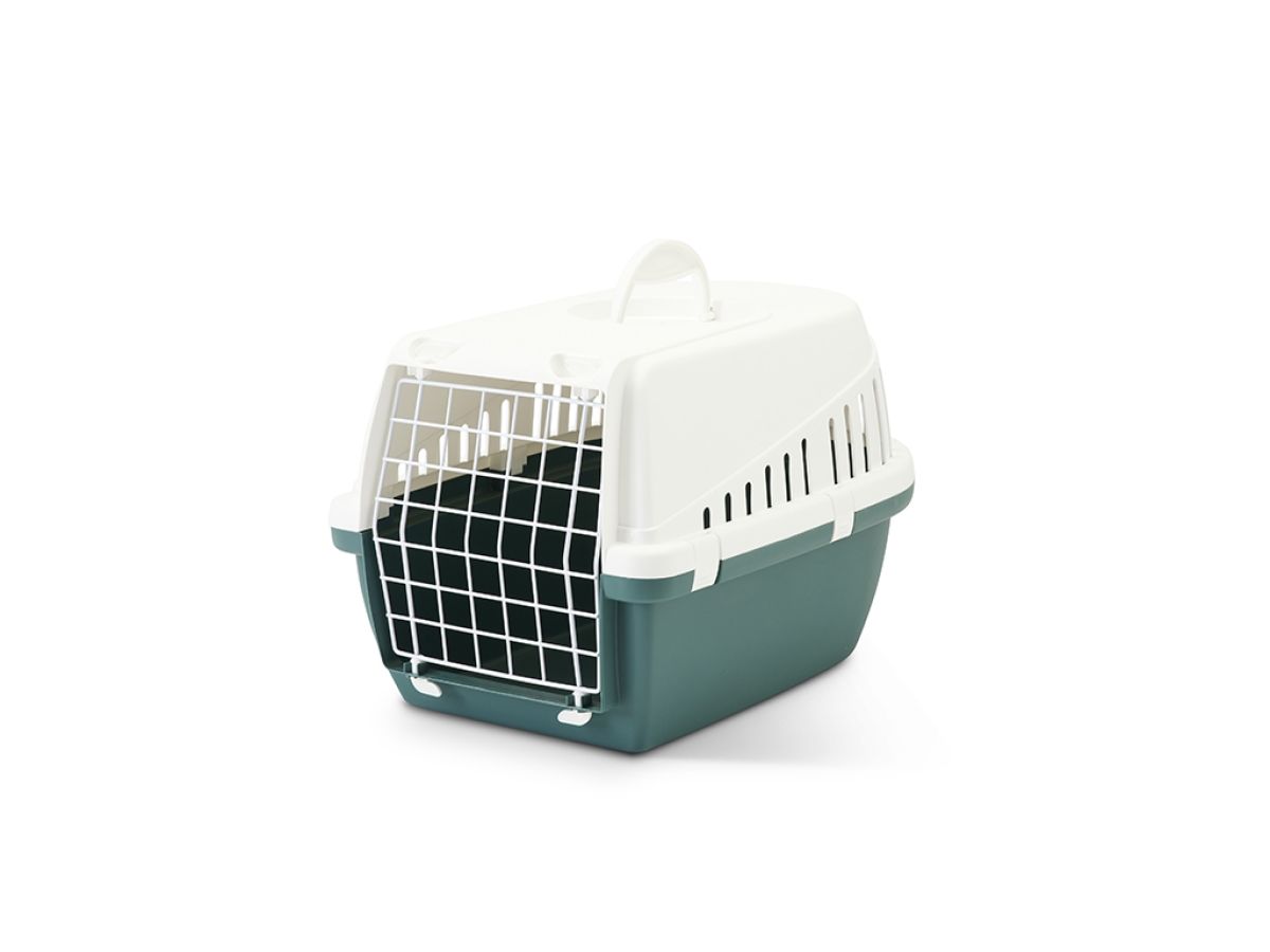 Savic Trotter Pet Transport Box - Nordic Green 1