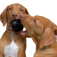 Thumbnail for Kong Ball Extreme Dog Toy - M/L