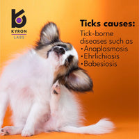 Ultrum® Plus Shampoo (Tick & Flea)