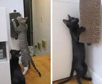 Thumbnail for Flamingo Limbo Cat Scratching Board - OS
