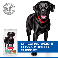 Hill’s Science Plan Perfect Weight & Active Mobility Large Breed Adult Dog Food with Chicken (12kg)