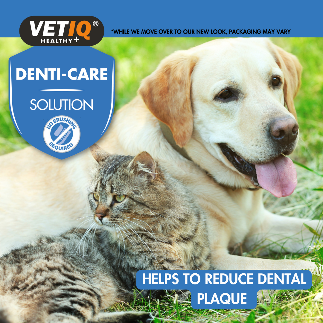 VetiQ 2in1 Denti-Care Oral Hygiene Solution 250ml - 250ML