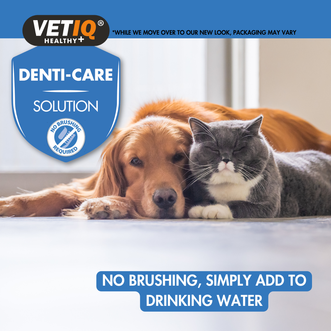 VetiQ 2in1 Denti-Care Oral Hygiene Solution 250ml - 250ML