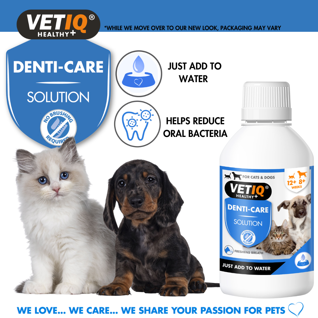 VetiQ 2in1 Denti-Care Oral Hygiene Solution 250ml - 250ML