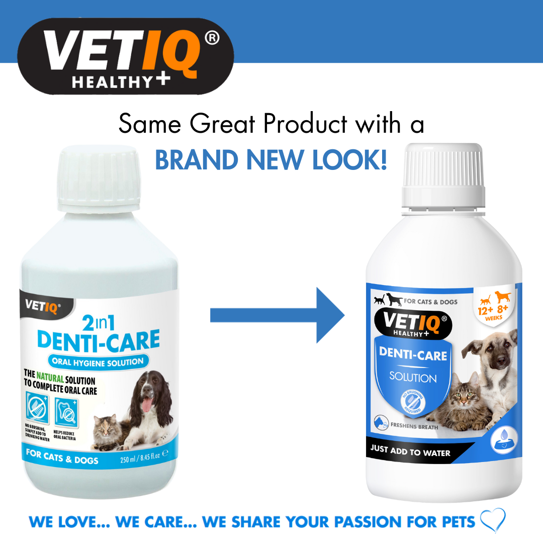 VetiQ 2in1 Denti-Care Oral Hygiene Solution 250ml - 250ML