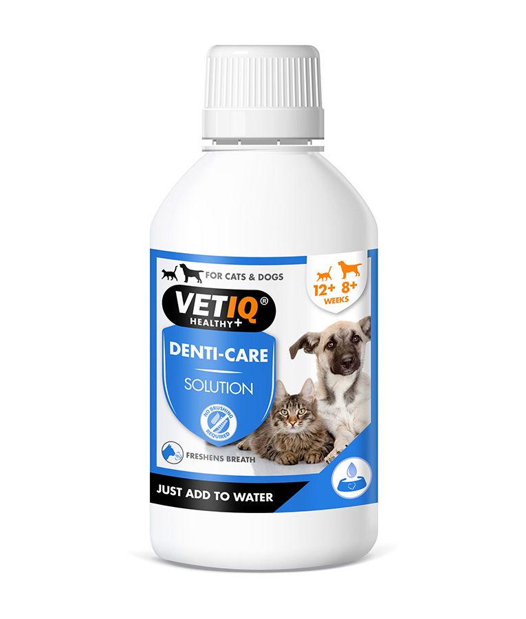 VetiQ 2in1 Denti-Care Oral Hygiene Solution 250ml - 250ML