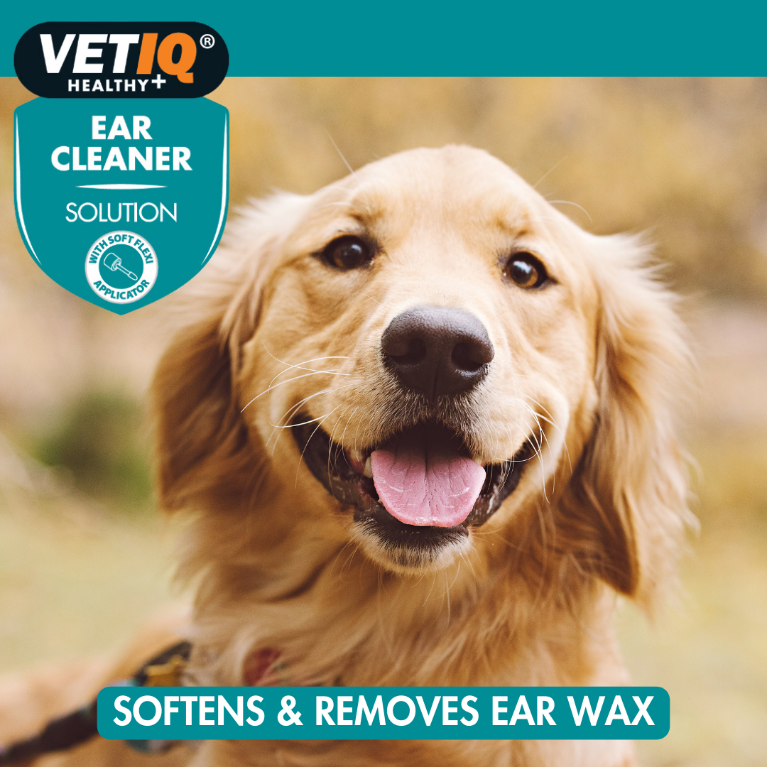 VetiQ Dog & Cat Ear Cleaner 100ml - 100ML