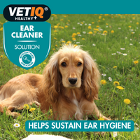 Thumbnail for VetiQ Dog & Cat Ear Cleaner 100ml - 100ML