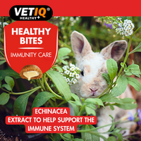 Thumbnail for VetIQ Healthy Bites Immunity Care Small Animal Treats 30g - 30g