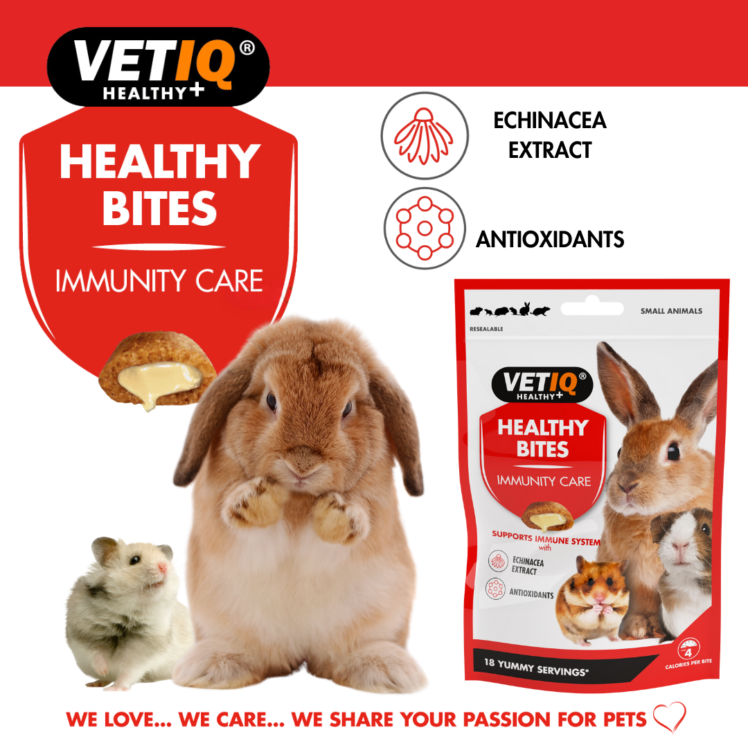 VetIQ Healthy Bites Immunity Care Small Animal Treats 30g - 30g