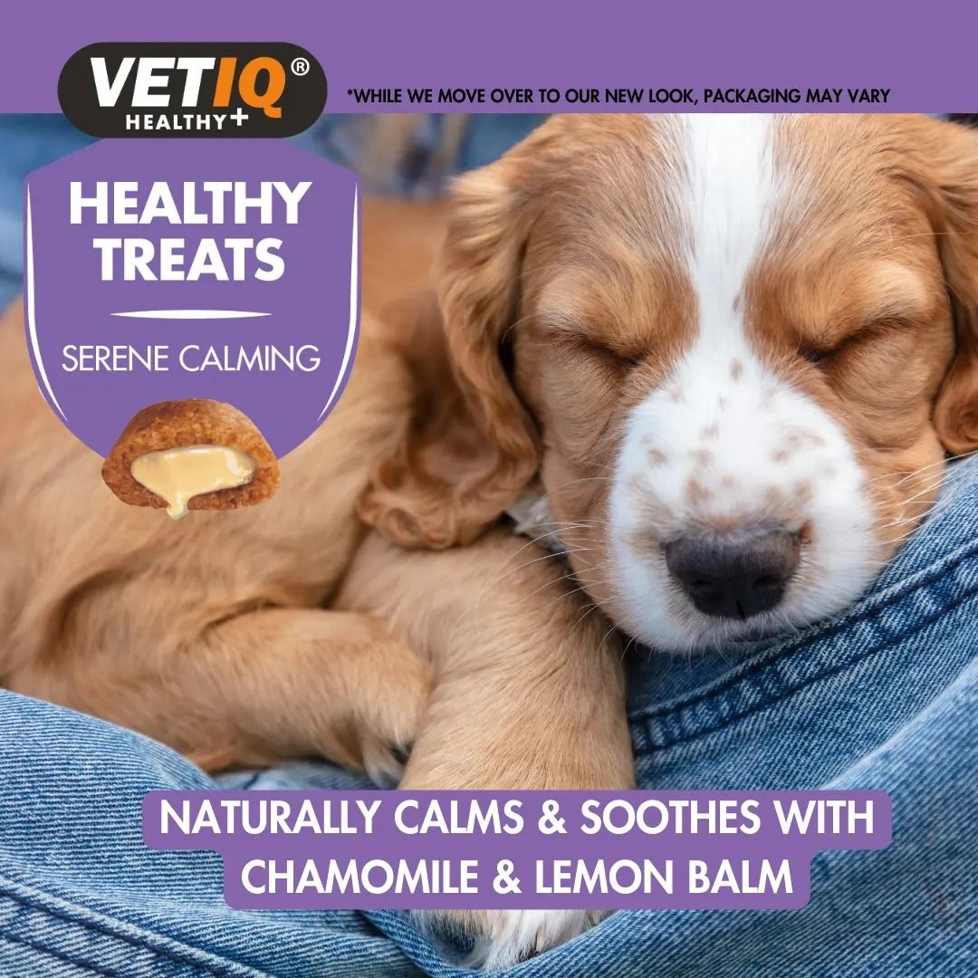 VetIQ Healthy Treats Serene Calming Dog Treats 50g - 50G