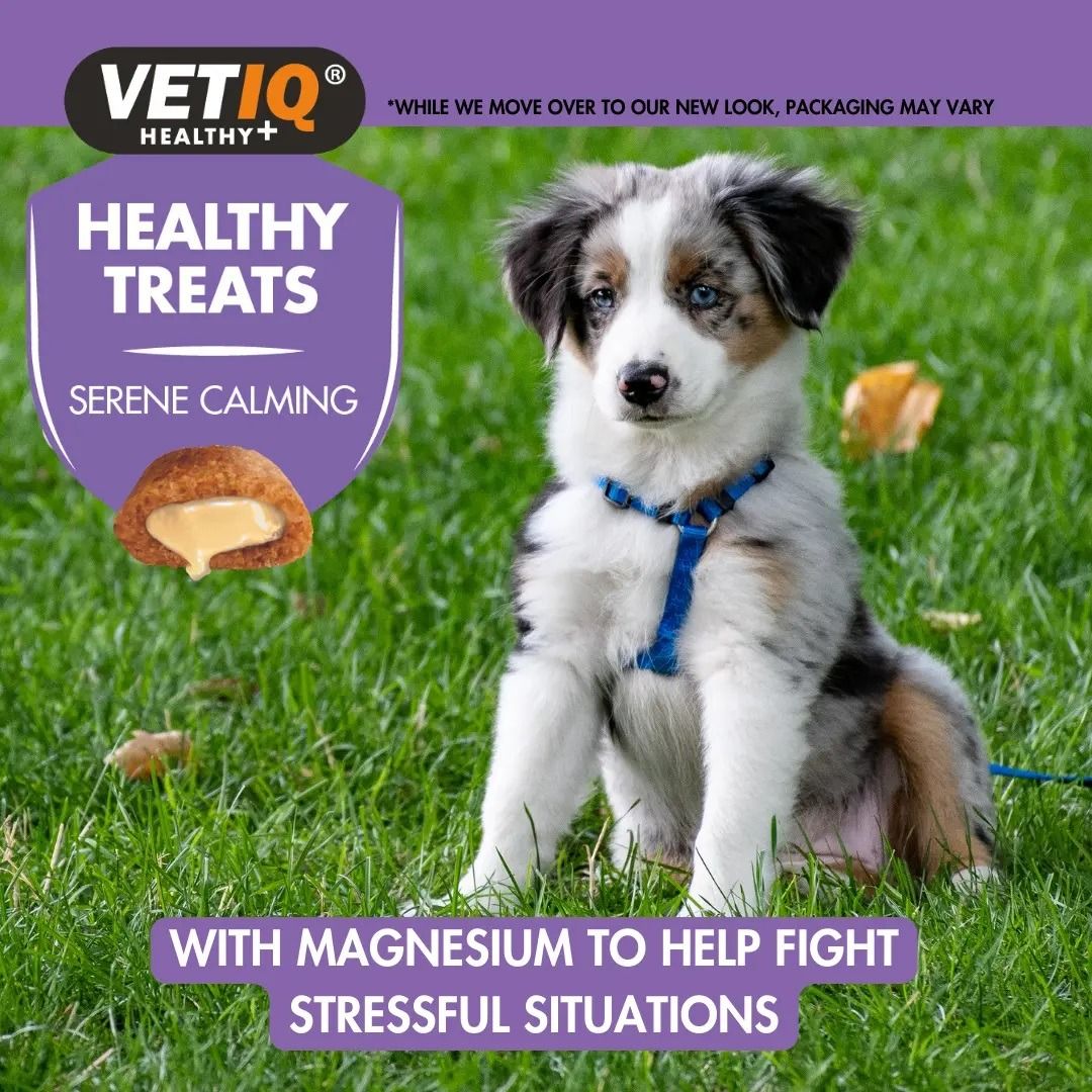 VetIQ Healthy Treats Serene Calming Dog Treats 50g - 50G