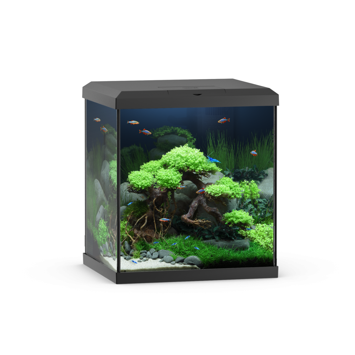 Vio Cube 54 Black