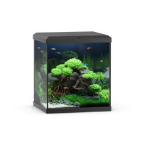 Vio Cube 54 Black