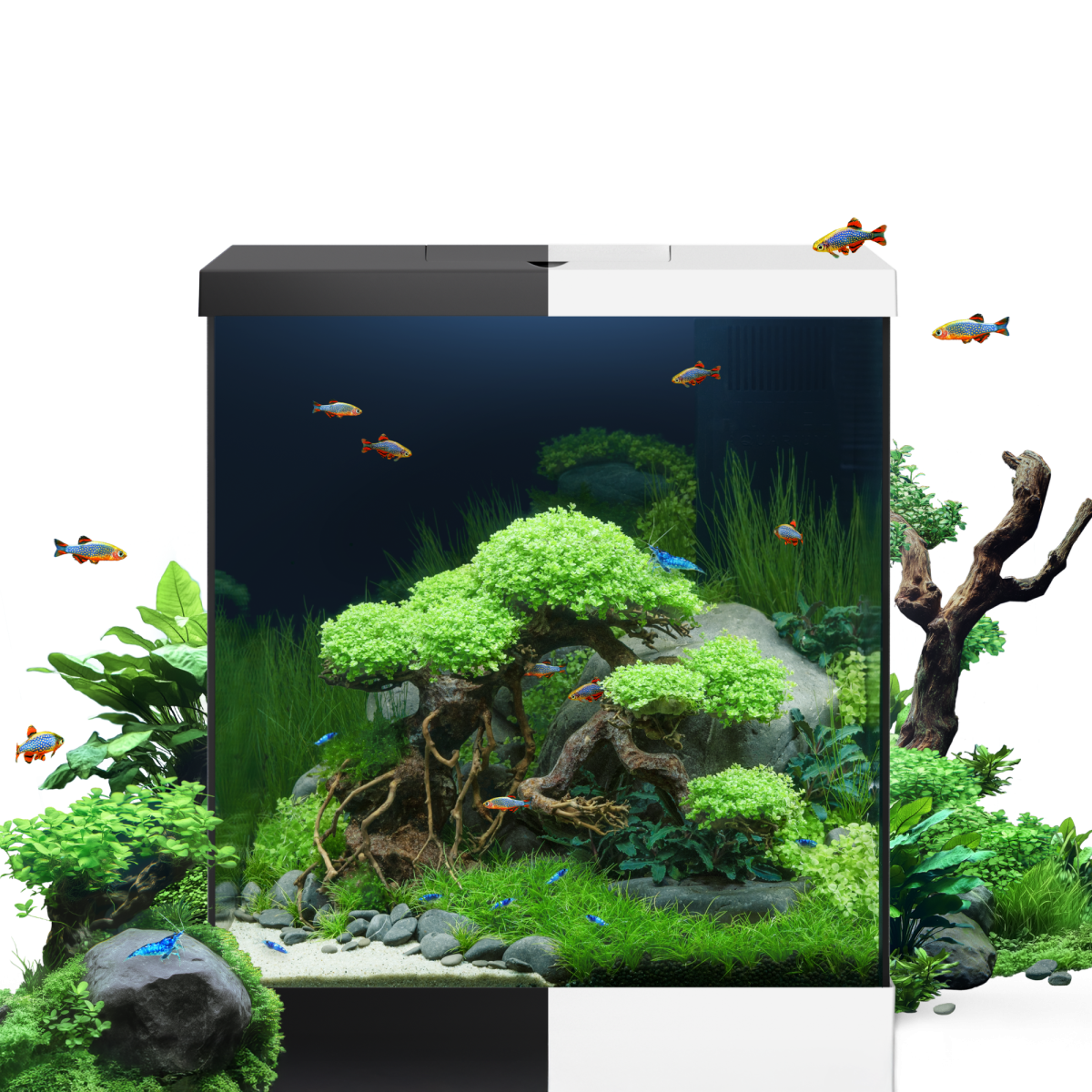 Vio Cube 54 Black